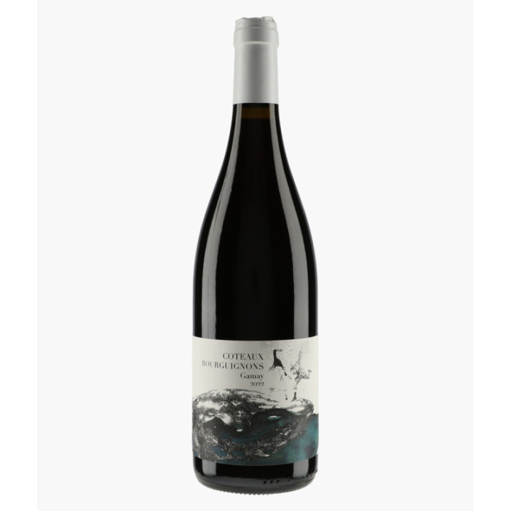Coteaux Bourguignons Gamay 2022 | DIDON