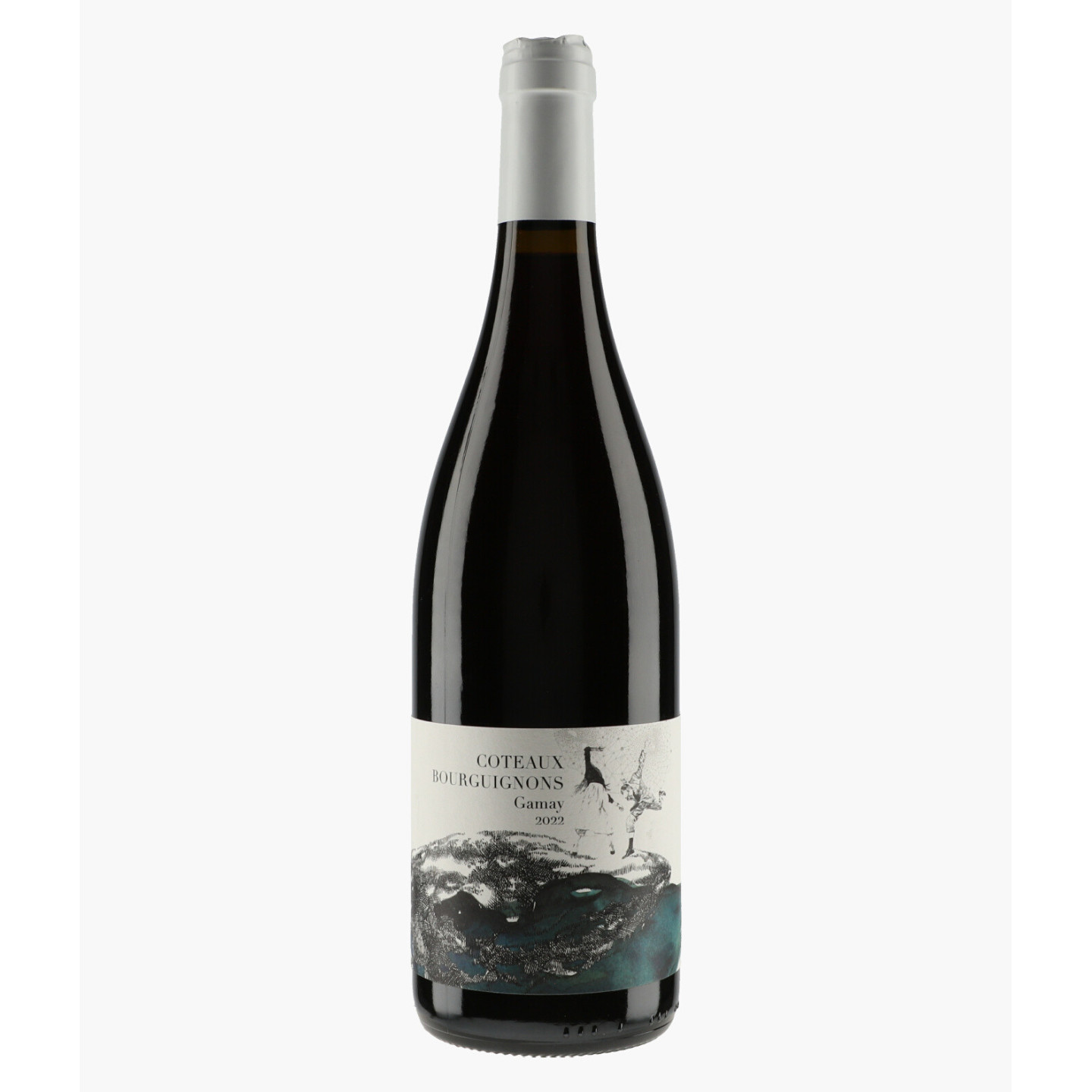 Coteaux Bourguignons Gamay 2022 | DIDON