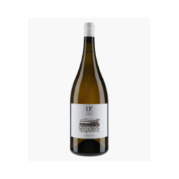 Crocci | ZURIA DOMAINE