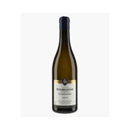 Bourgogne Chardonnay 2023 | BALLOT-MILLOT