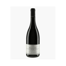 Bourgogne Hautes-Côtes de Nuits V.V 2022 | JOUAN OLIVIER