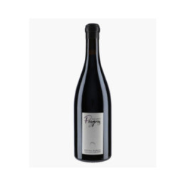 Saint Joseph Peygros 2024 | DOMAINE DU TUNNEL