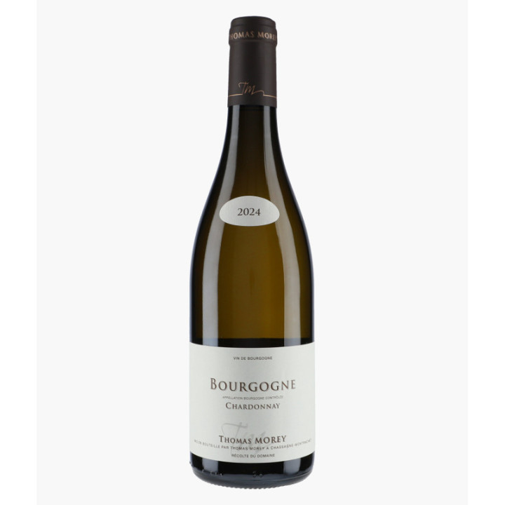 Bourgogne Chardonnay | MOREY THOMAS