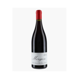 Morgon | LAPIERRE MARCEL