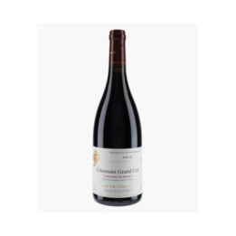 Echezeaux-du-Dessus Grand Cru 2015 | JAYER GILLES