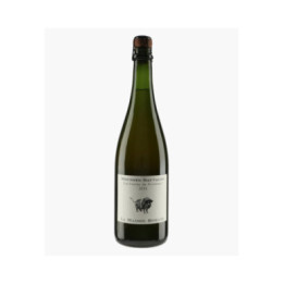 Mousses Sauvages Cueillettes de Printemps 2021 | MAISON ROMANE
