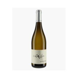 Côtes-du-Rhône Blanc Le Caillou | CLOS DU CAILLOU