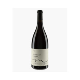 Santenay Charmes 2021 | MUZARD LUCIEN