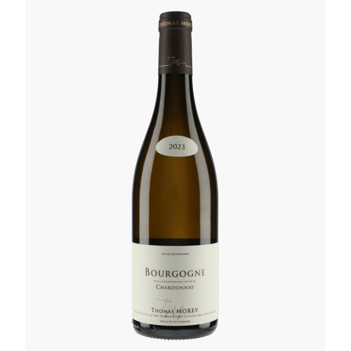 Bourgogne Chardonnay | MOREY THOMAS