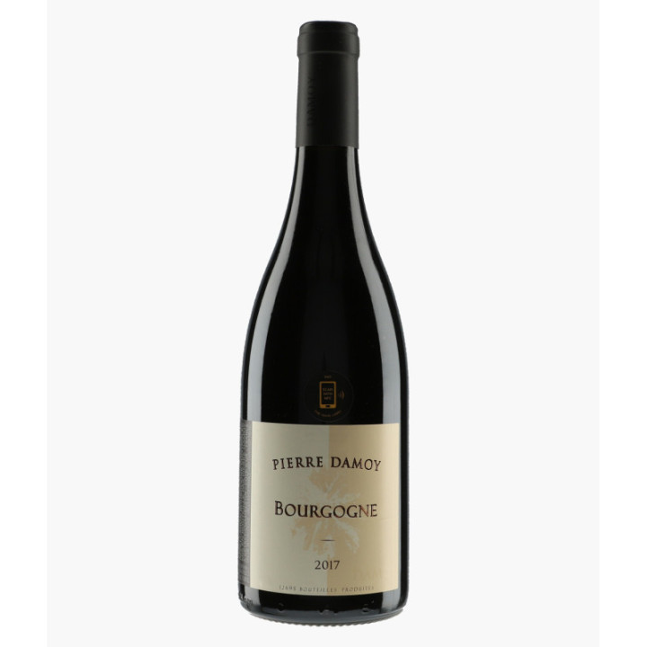 Bourgogne | DAMOY PIERRE