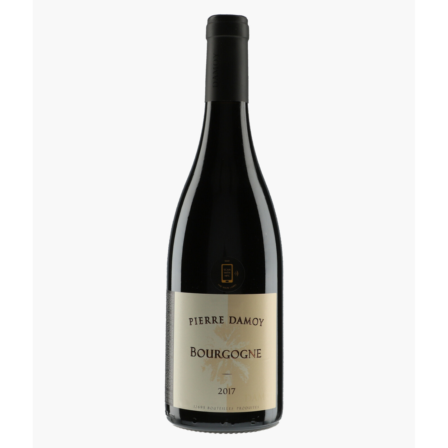 Bourgogne | DAMOY PIERRE