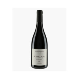 Bourgogne Les Ravry 2019 | DAMOY PIERRE