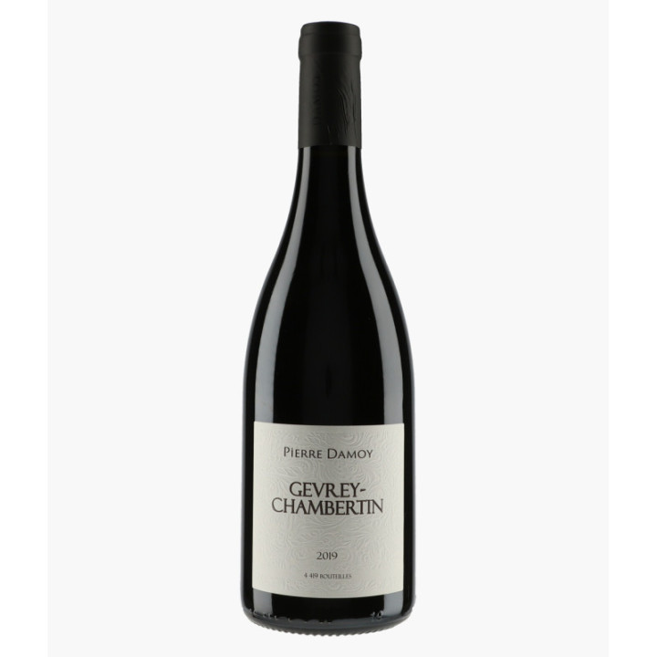 Gevrey-Chambertin 2019 | DAMOY PIERRE