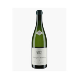 Chassagne-Montrachet 1er Cru Les Vergers | LAMY-PILLOT