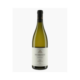 Bourgogne Chardonnay 2020 | TRICOT M-J
