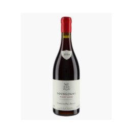 Bourgogne Pinot Noir | PILLOT PAUL