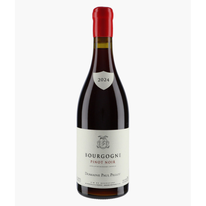 Bourgogne Pinot Noir 2024 | PILLOT PAUL