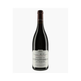 Nuits-Saint-Georges 1er Cru Aux Murgers 2021 | MEO-CAMUZET