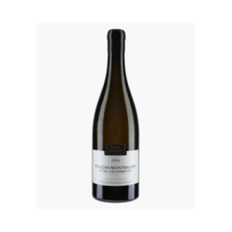 Puligny-Montrachet 1er Cru Les Combettes 2024 | MOREY-COFFINET