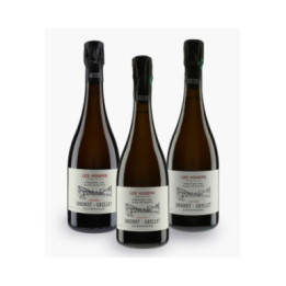 Verticale Les Nogers 2012/2013/2014 Dhondt-Grellet | DHONDT-GRELLET