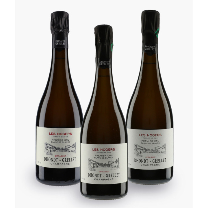 Verticale Les Nogers 2012/2013/2014 Dhondt-Grellet | DHONDT-GRELLET