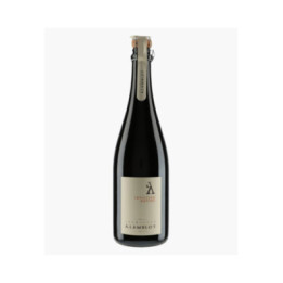 Champagne Brut Nature Intuition 2019 | LAMBLOT A.
