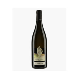 Chablis 2022 | MOREAU-NAUDET