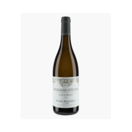 Bourgogne Côte d'Or Clos du Moulin | BOUZEREAU MICHEL