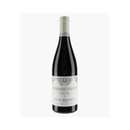Bourgogne Côte d'Or Pinot Noir | BOUZEREAU MICHEL