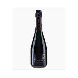 Hommage au Pinot Noir | HENRI GIRAUD