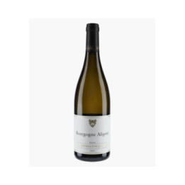 Bourgogne Aligoté 2023 | HOFFMANN-JAYER