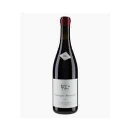 Chassagne-Montrachet Champs de Morgeot | LAMY-PILLOT