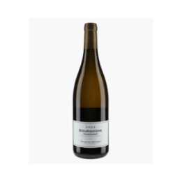 Bourgogne Chardonnay 2024 | BAVARD JACQUES