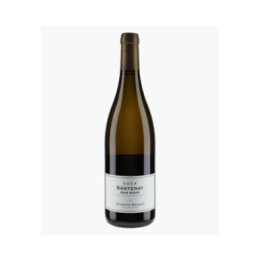 Santenay Sous Roche 2024 | BAVARD JACQUES
