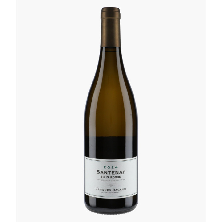 Santenay Sous Roche | BAVARD JACQUES