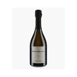 Champagne Oger Grand Cru Brut Blanc de Blancs | PERTOIS-MORISET