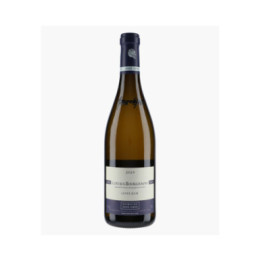 Côteaux Bourguignons Cuvée Julie 2024 | GROS ANNE