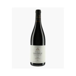 Monthélie 1er Cru Clos les Champs Fulliot 2022 | TRICOT M-J
