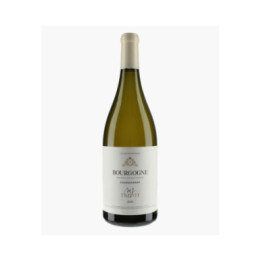 Bourgogne Chardonnay 2023 | TRICOT M-J