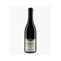 Bourgogne Pinot Noir 2021 | BALLOT-MILLOT