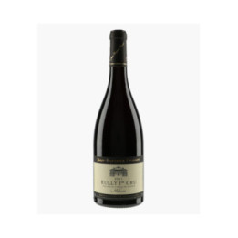 Rully 1er Cru Molesme 2021 | PONSOT JEAN-BAPTISTE