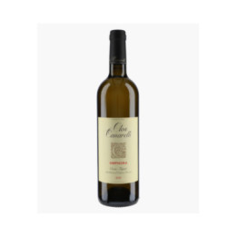Amphora | CLOS CANARELLI