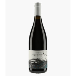 Coteaux Bourguignons Le P'tit Quinquin 2022 | DIDON