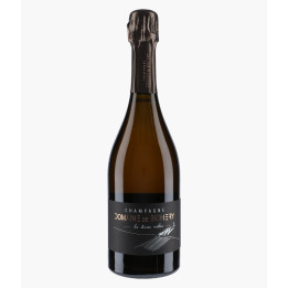 Champagne Les Terres Mêlées 2022 | BICHERY