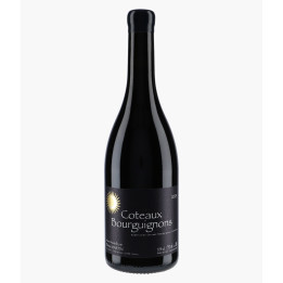Coteaux Bourguignons 2023 | MARTIN BRICE