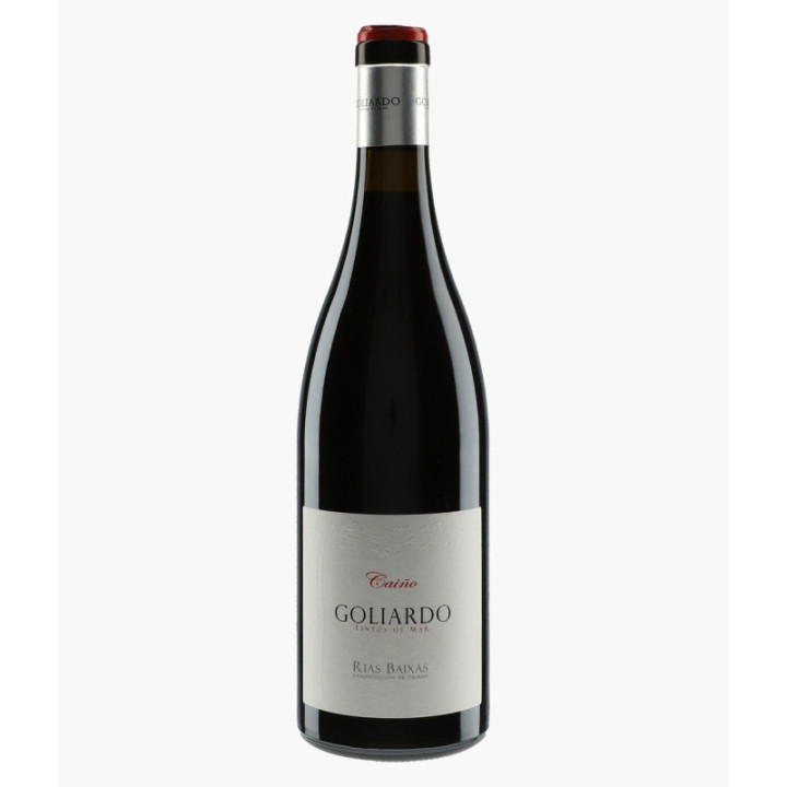 Goliardo Caino - Espagne