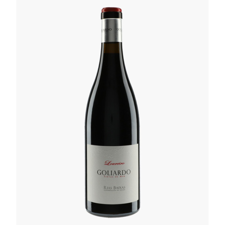 Goliardo Loureiro - Espagne