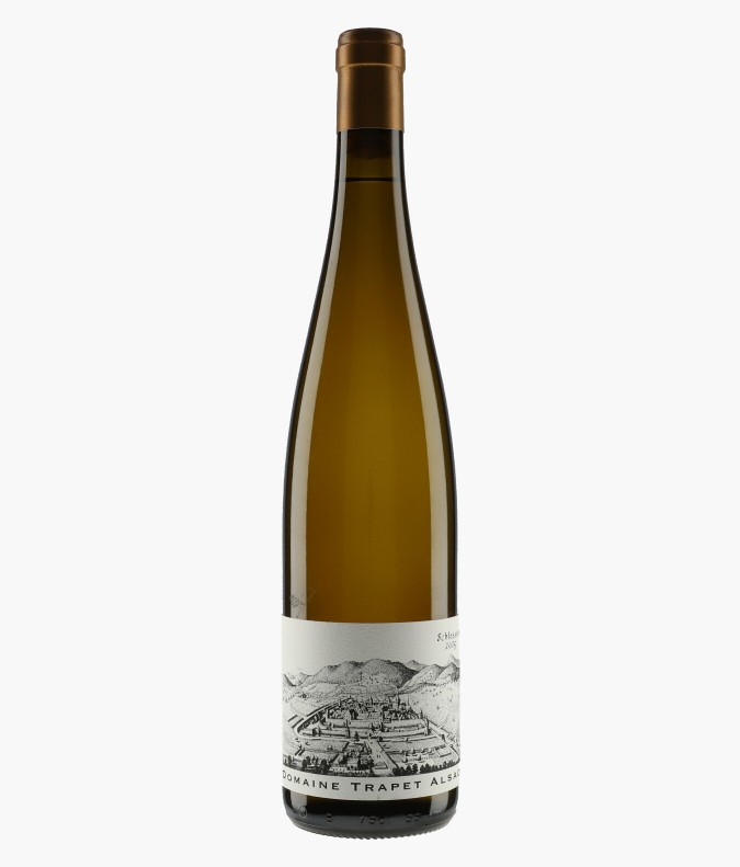Wine Riesling Schlossberg Grand Cru - TRAPET ALSACE
