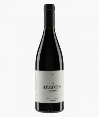 Wine Arrotos del Pendon - Spain