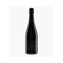 Champagne Cuve ZH 318 - NATHALIE FALMET